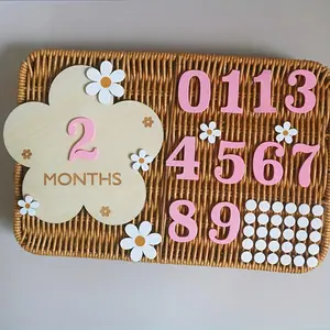 Wooden Milestone Card Set and Birthday Sign, Photo Props for Newborn Monthly Milestone Birthdays, Home Decor Supplies