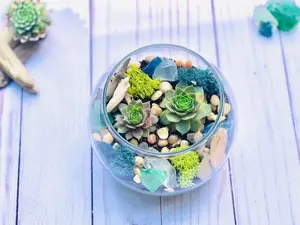 Sea Glass & Driftwood Terrarium kit, Succulent Gift Box, Cactus Terrarium Kit, DIY Glass Terrarium, Terrarium Gift, DIY Plant kit