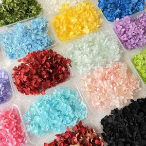 Handmade DIY Soap Hydrangea Dried Flower Material Kit, Aromatherapy Hydrangea Dried Flower, Grape Soap with Dried Flower Decoration, Dried Flower Materials for Making