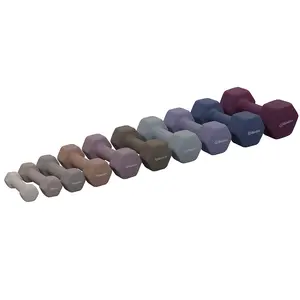 Neoprene Hexagon shaped dumbbells - Earth Tones