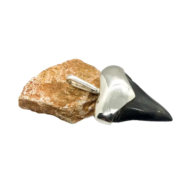 Sterling Cromo Silver Megalodon tooth pendent