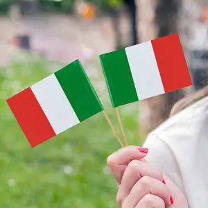 100Pcs Italy Toothpick Flags Mini Stick Cupcake Toppers Country Party Celebration National Decors Food Cocktail Picks Card
