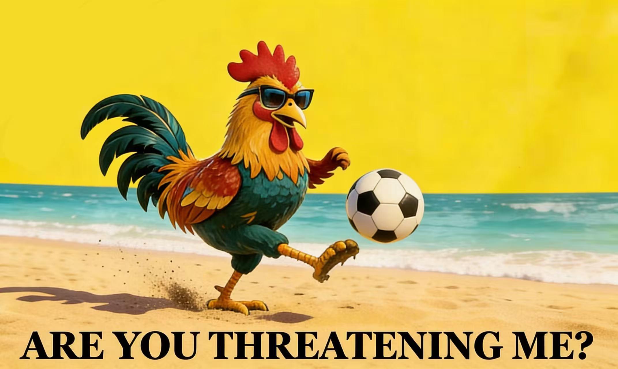 3x5 ft Funny Rooster Soccer Tapestry - "Do Not Disturb" Game Day Wall Hanging for Man Cave & Dorm