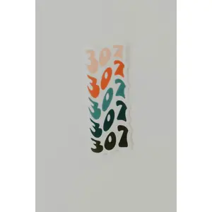 307 Sticker - Vintage Vinyl Decorative Sticker Set in Assorted Colors, Ideal for Home Decor and Ornaments