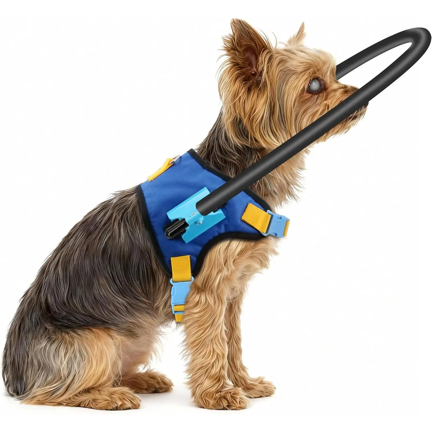 Blind Dog Halo Harness, Adjustable Anti-Collision Safety Ring, Protective Support for Blind and Visually Impaired Dogs (XS for 9-13in)