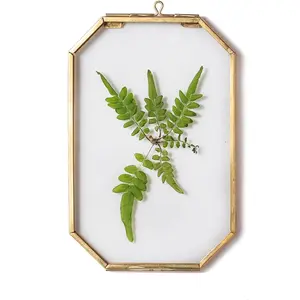 4" X 6" Small Glass Floating Frame with Chain for Artwork Photo, Picture