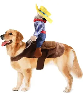 Cowboy Halloween Costume