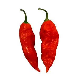 Bhut Jolokia Ghost Pepper Seeds