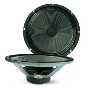 5 Core 10 Inch Guitar Speaker 60W Replacement 16 Ohm Amplifier Cabinet Driver