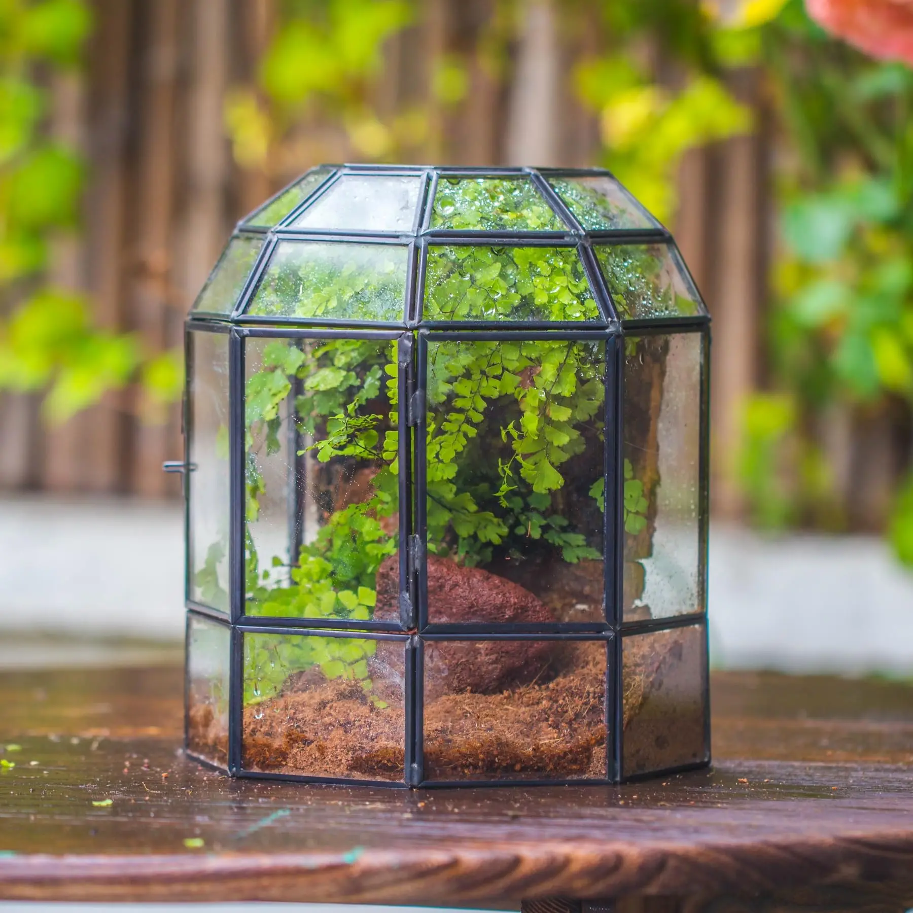 NCYP Half Dome Geometric Glass Terrarium with Door, Close Moss Fern Planter Pot, Indoor Home Tabletop Decoration, Terrarium Only