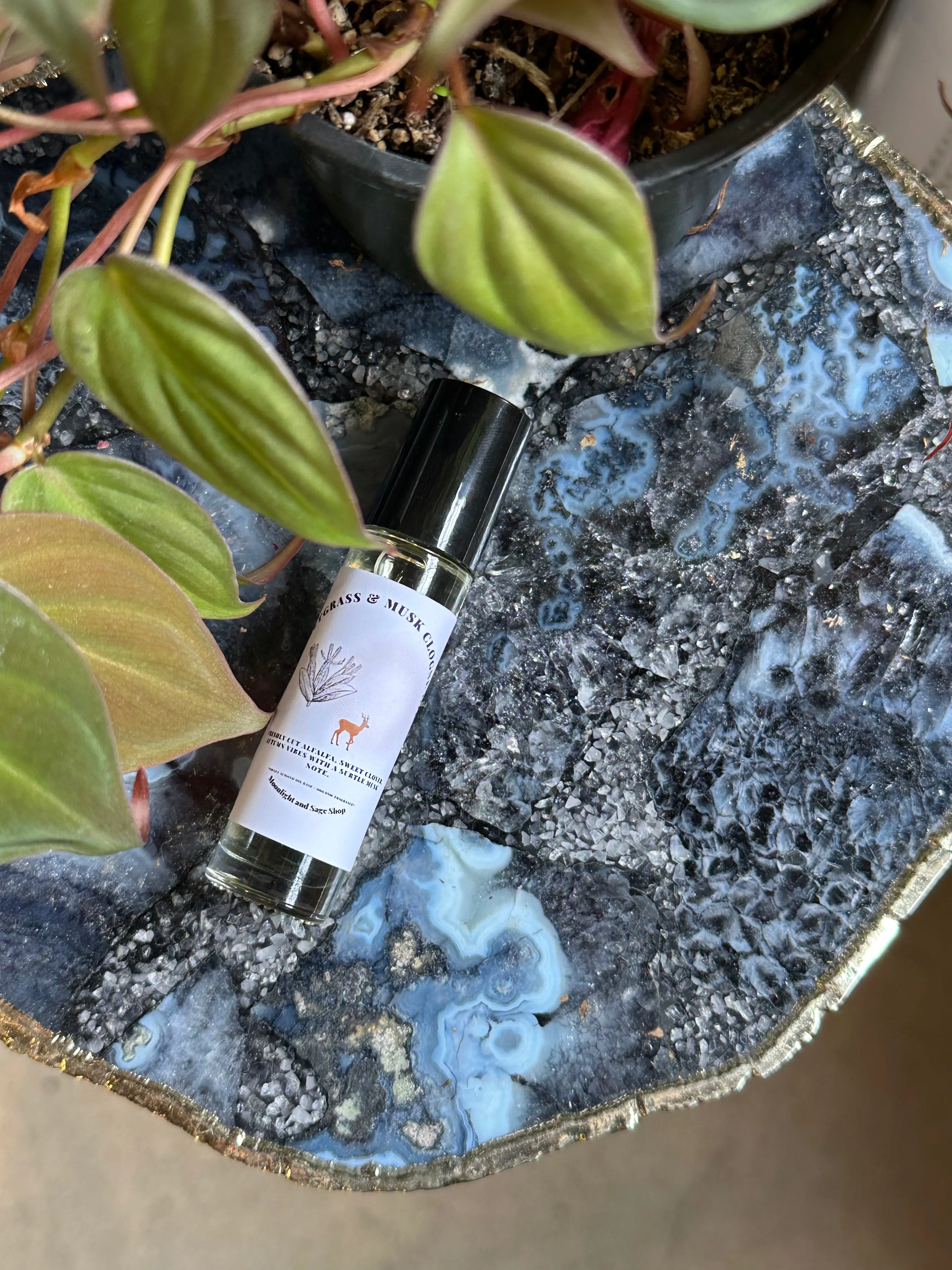 Sweetgrass and Musk - Cologne Oil Sweetgrass and Musk - Cologne Oil