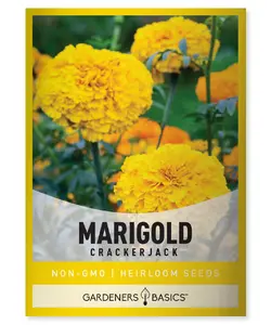 African Marigold Crackerjack Seeds