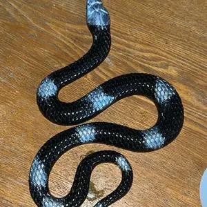 Custom Handmade Resin Snakes