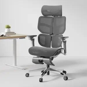 Hinomi X2 Pro Ergonomic Office Chair (X1 Upgraded)