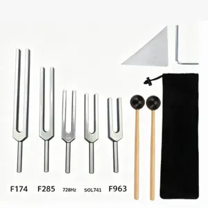 Therapy Set Tuning Forks (174+285+728+741+963), Medical Instruments with Velvet Bag and Hammer, Sound Healing Tools