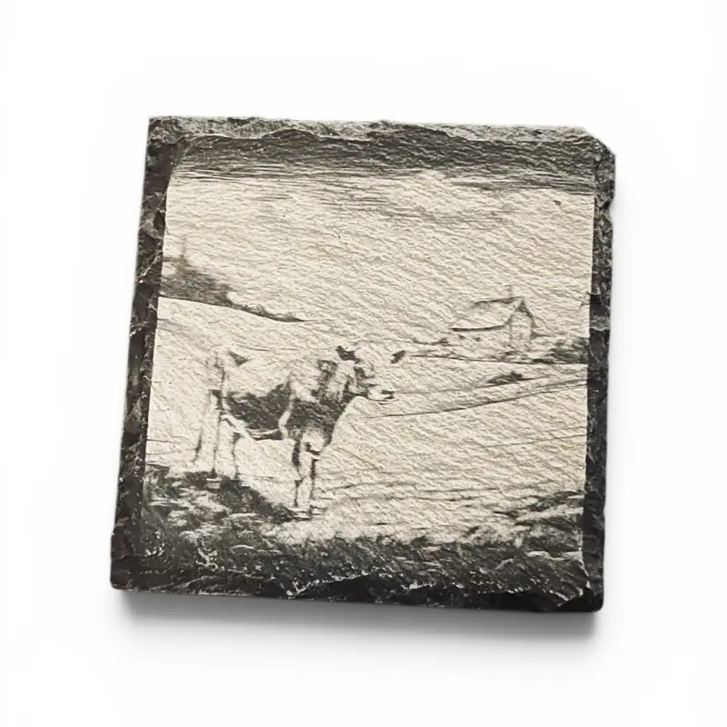 Set of 4 Farmhouse Style Barn and Cow Slate Coasters