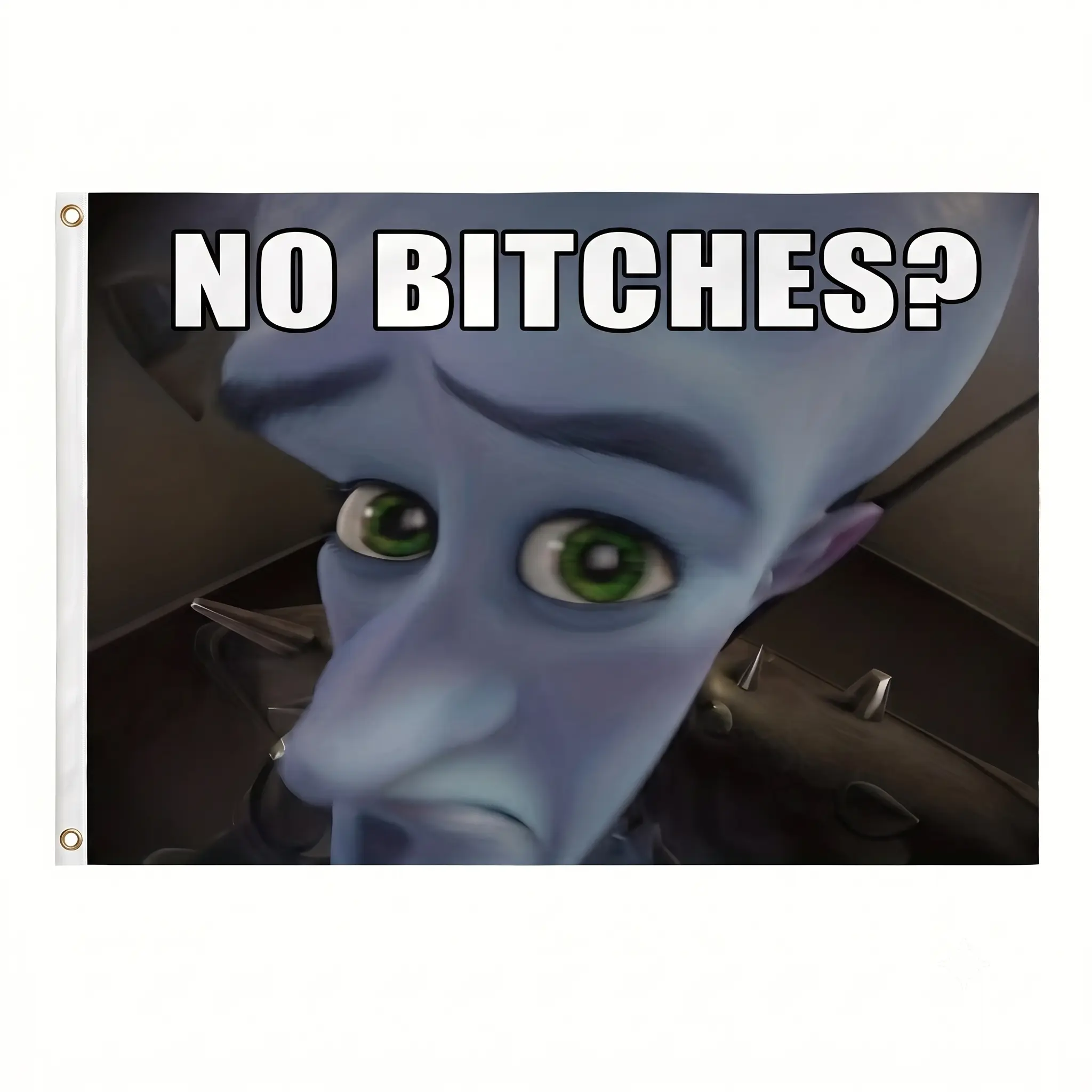 No Bitches Meme Flag | Funny Megamind Tapestry | College Dorm Frat Banner | Man Cave Wall Decor