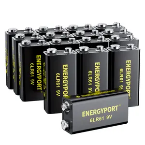 ENERGYPORT 9V Alkaline Batteries (16 Count) -  9 Volt 6LR61 Ultra Long-Lasting, Leakproof Design, 10-Year Shelf Life for Home and Office, Smoke/CO Detector, Electronics & Audio