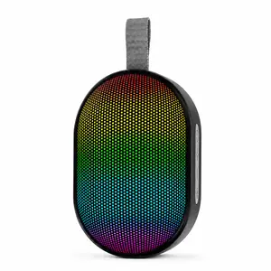 RGB Bluetooth Speaker Portable Wireless Speaker with Dynamic LED Lights, Deep Bass Stereo Sound, Mini Travel Speaker for Home Party Outdoor Audio Compact Smartphone Crystal
