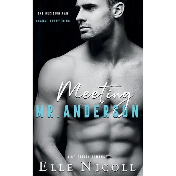 Meeting Mr. Anderson: A Celebrity Romance - Paperback