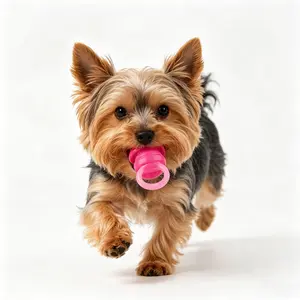 Puppy Teething Toy for Small Dogs, Durable Chewable Pacifier, Self-Entertainment Dog Bite Toy, Stress Relief Chewing Gum Toy