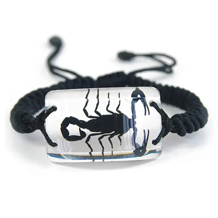 Clear Rectangle Shaped Pendant Bracelet with Real Black Scorpion