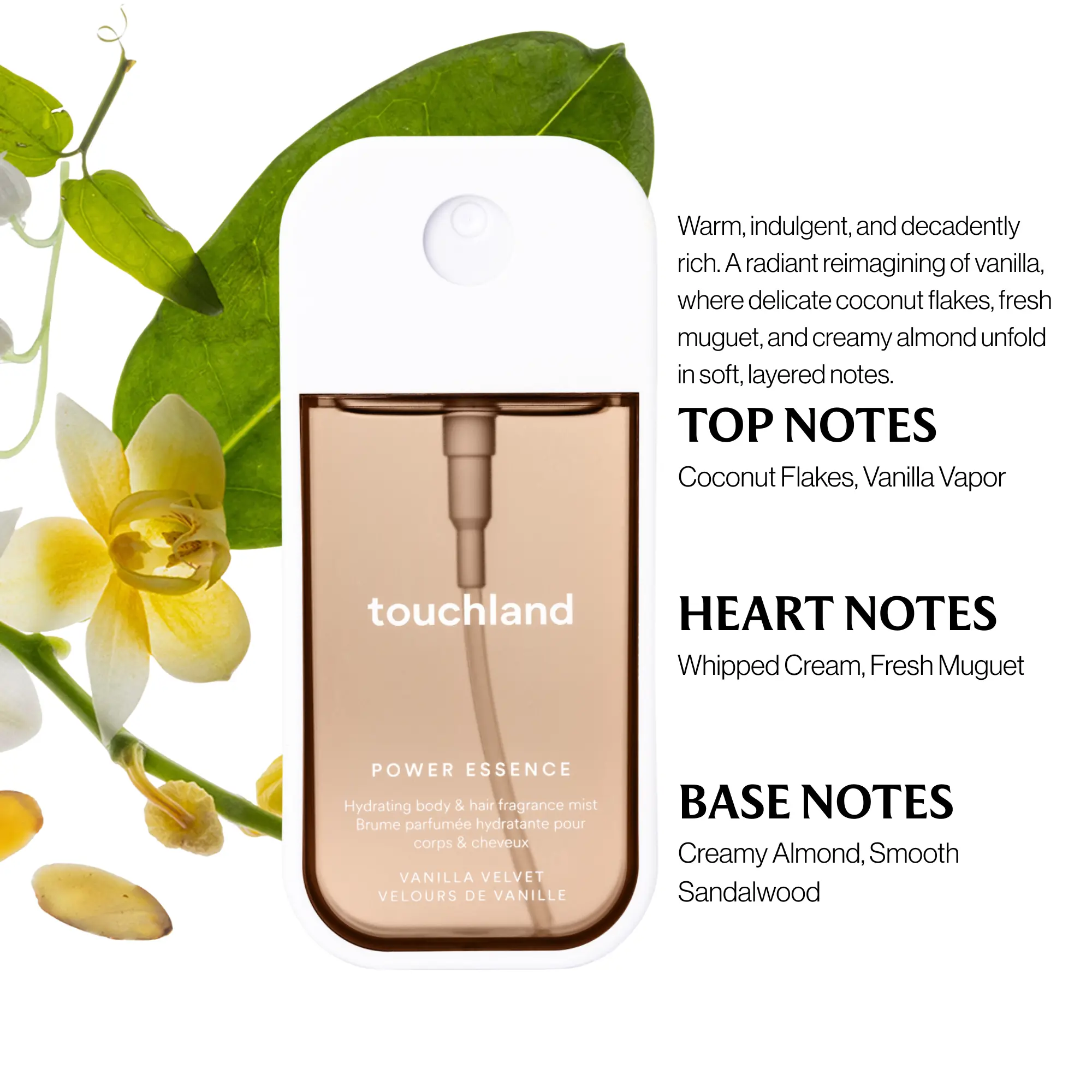 Vanilla Velvet - Gourmand