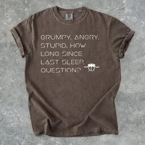 "Grumpy Rocky" Sarcastic Quote Vintage T-Shirt - Project Hail Mary Inspired Sci-Fi Graphic Tee - Comfort Colors® Bookish Nerd Gift - Eridian Humor Shirt