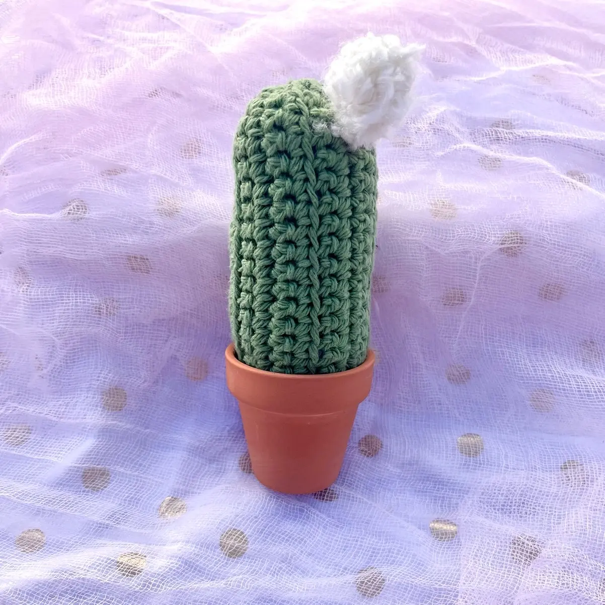 Crochet cactus