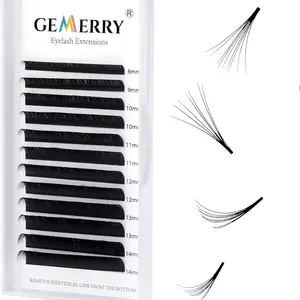 Volume Eyelash Extensions .05 .07 Easy Fan lashes D Curl 8-14mm Mixed Tray 3D