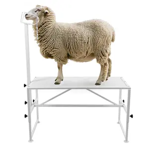 HECASA 51"x23" Livestock Trimming Stand – Adjustable Height Sheep Shearing & Milking Stand with Headpiece, 500LBS Capacity-TK