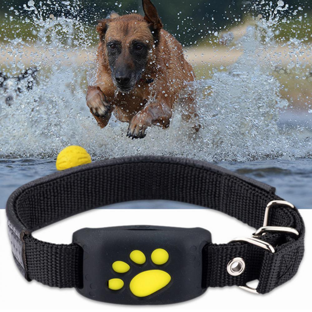 GPS Tracking Pet Collar for Dogs