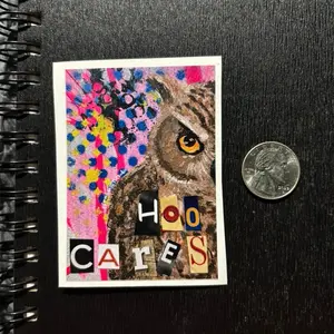 Hoo Cares Owl Sticker  | Funny Owl Sticker | Sassy Vinyl Sticker | Waterproof Sticker