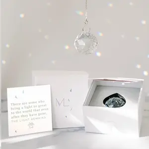 Memorialight Pet Memorial Gift - Unique Sympathy Gift for Loss of Dog & Cat, Modern Bereavement Gift for Daily Remembrance, Pet Loss Gift, 40mm Crystal Ornament Rainbow Maker & Paw Print Keepsake Card