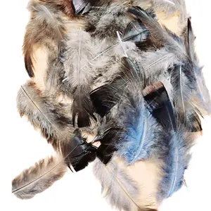 Wild Turkey Feathers Assortment Pack of 40 Decor Masks Tail 3-6 Inches Length for Calligraphy Quills Dreamcatchers