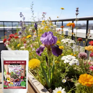 Wildflower Seed Mixed 2Packs 35 Varieties 20000+Pcs wildflower seed bulk, Non-GMO Annual & Perennial Flowers for Pollinator Gardens
