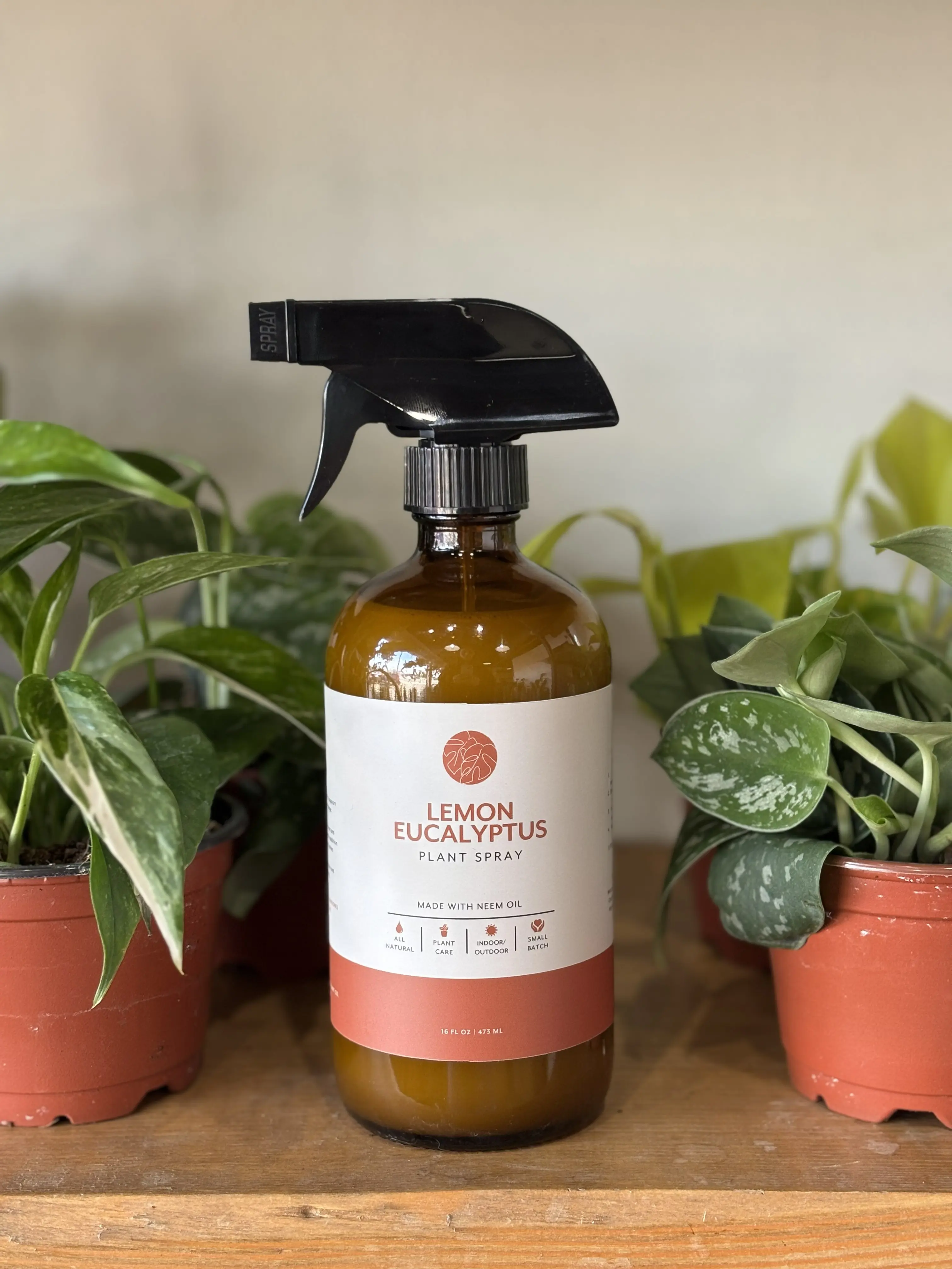 Lemon Eucalyptus Plant Spray with Neem Oil - Cleans, Shines & Protects Houseplants - 16oz Amber Bottle - Made in USA