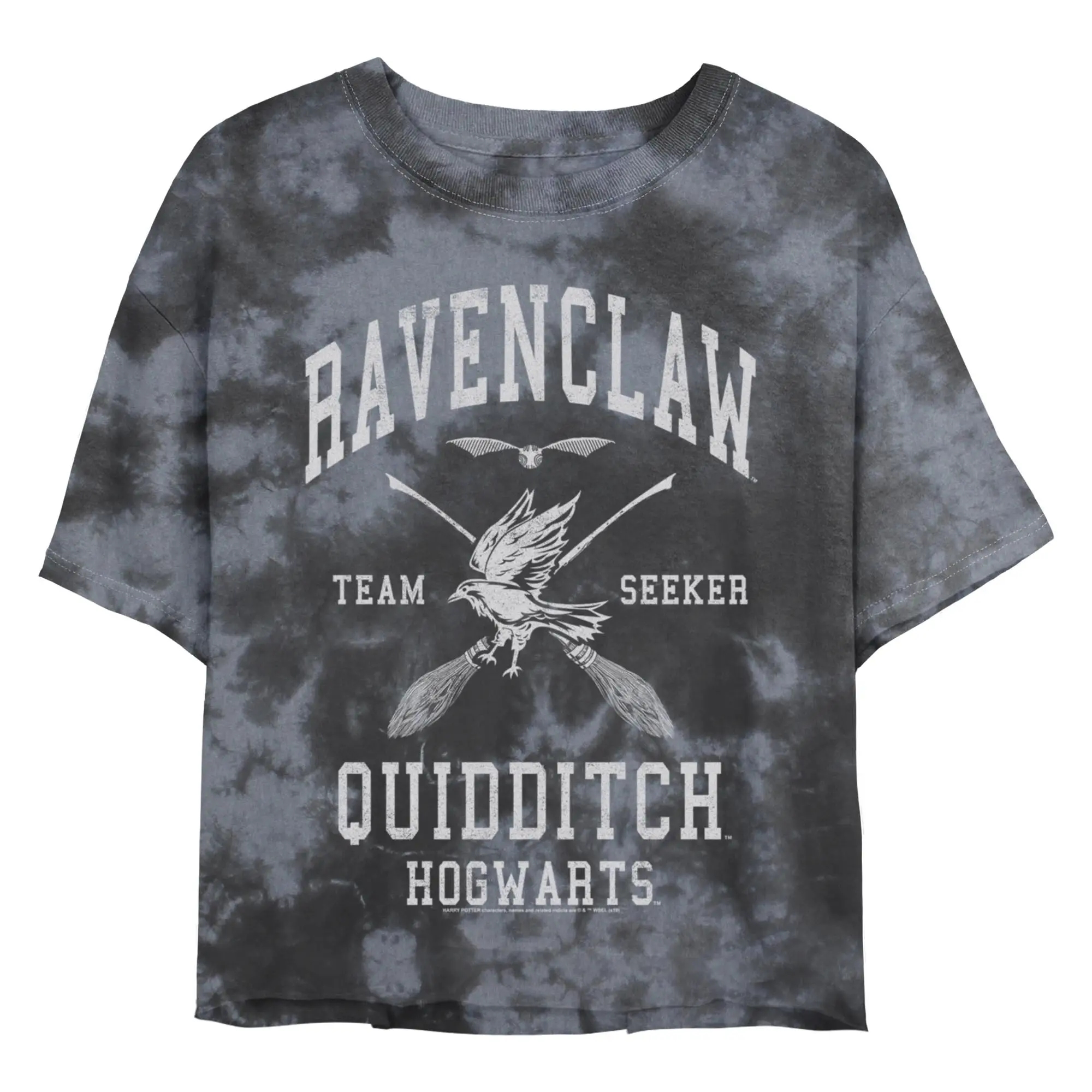 Junior's Harry Potter Ravenclaw Quidditch Seeker T-Shirt