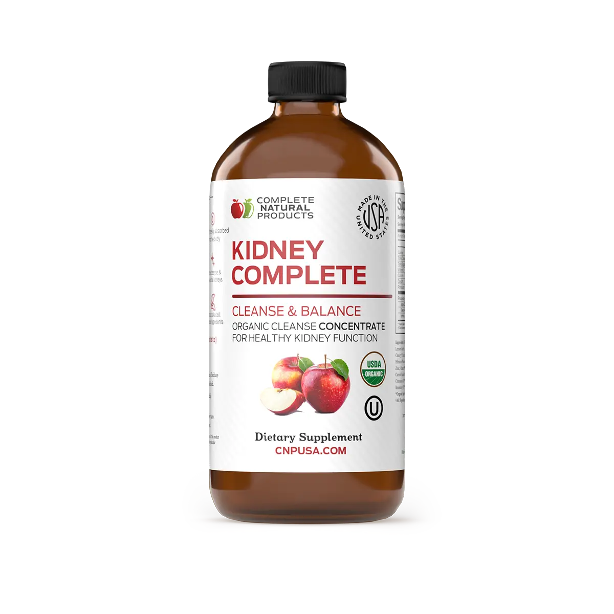 Kidney Complete