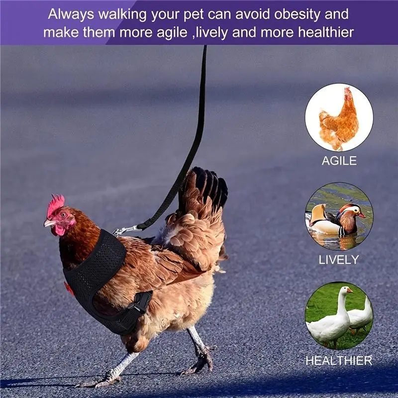 Breathable Adjustable Chicken Walking Harness with Leash, Ideal for Ducks, Geese & Poultry, Comfort Fit Design, Durable Pet Supplies Accessory