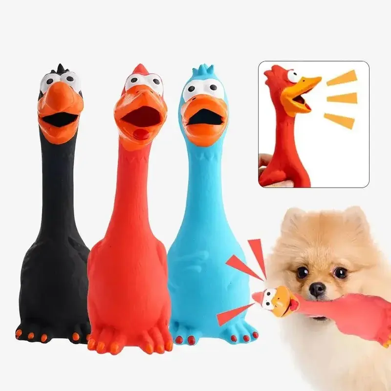 New squeaky dog toy, chewing bone, squeaking ball, chicken sound dog toy, teeth grinding training pet toy, dog accessories