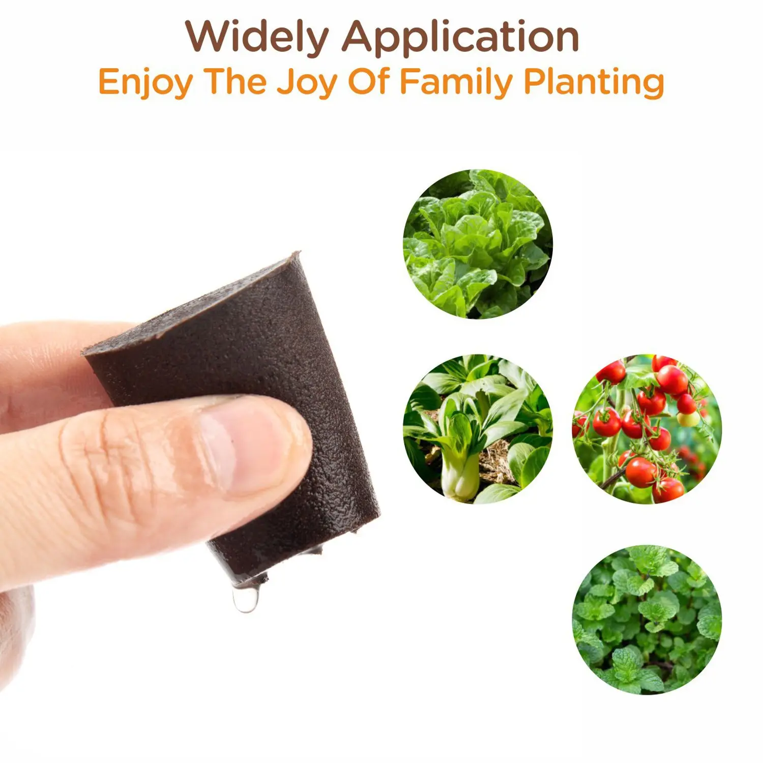 Rapid Rooter Plugs for Hydroponics Growing System 50PCS Starter Sponge for Germinate Quickly, Hydroponic Sponges Grow Starter Pod for Plants Vegetables Flowers Starter Sponges Kit Family Planting Plant Care