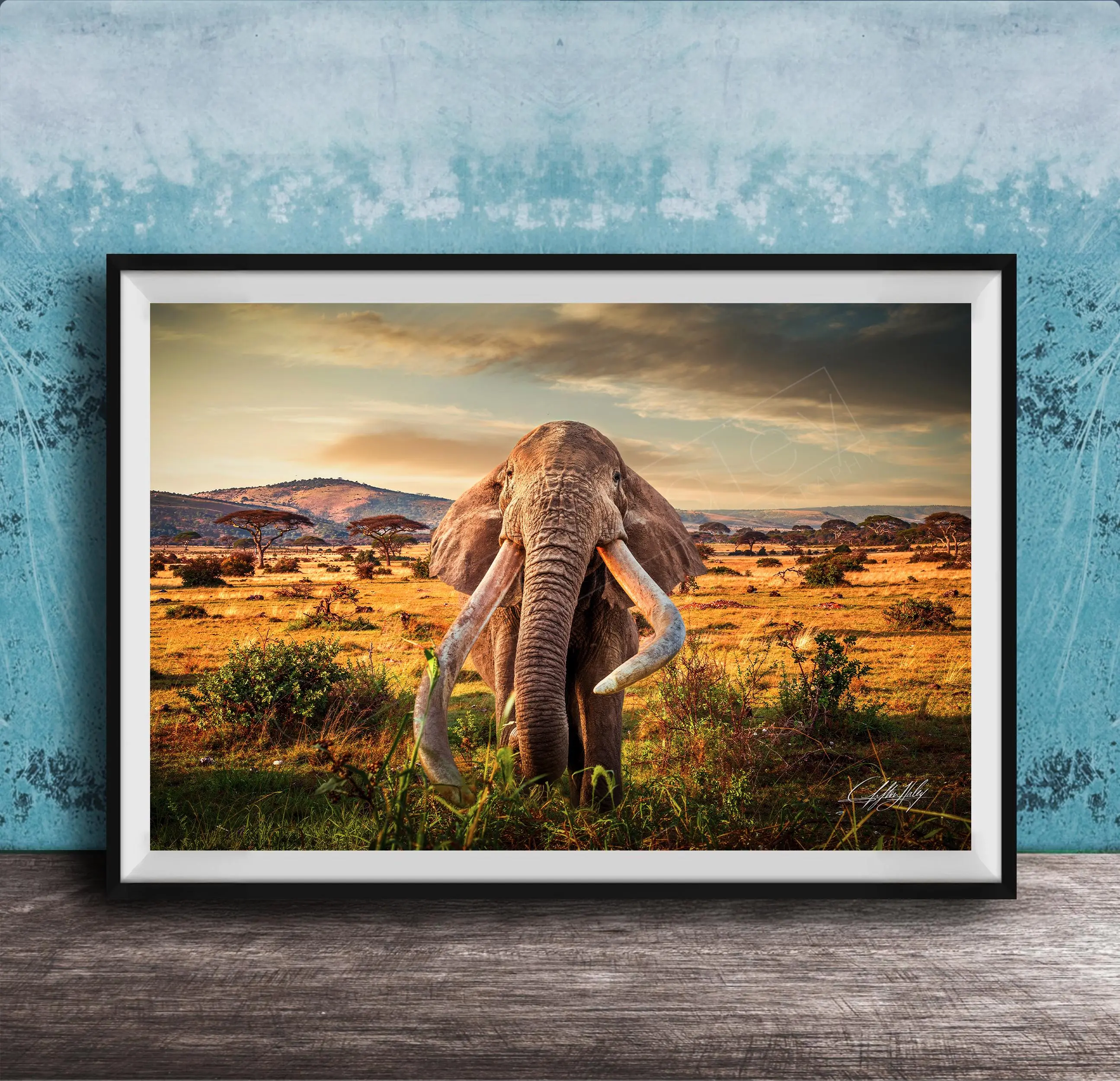 Big Tusker Elephant Safari Wall Art – Amboseli National Park Wildlife Canvas Print