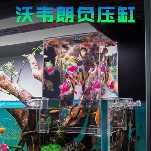 Wowelang negative pressure fish tank, vacuum floating small fish tank, creative tank for living room desktop, suitable for betta fish and guppies