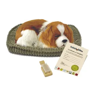 Original Cavalier King Charles Perfect Petzzz