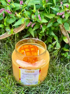 Mango Fusion Candle - Tropical Mango Passion Fragrance for Cozy Homes and Decorative Gifts