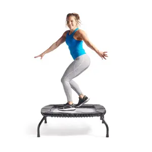 Sunny Indoor & Outdoor Exercise Trampoline Sunny Indoor & Outdoor Exercise Trampoline