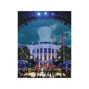 White House Flyover MMA Vertical Matte Poster - Frame Not Included - Fight Night - Freedom 250 - USA - Flag - Gift for Men and Women