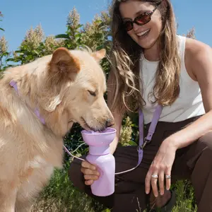 20oz Flip Dog Travel Water Bottle