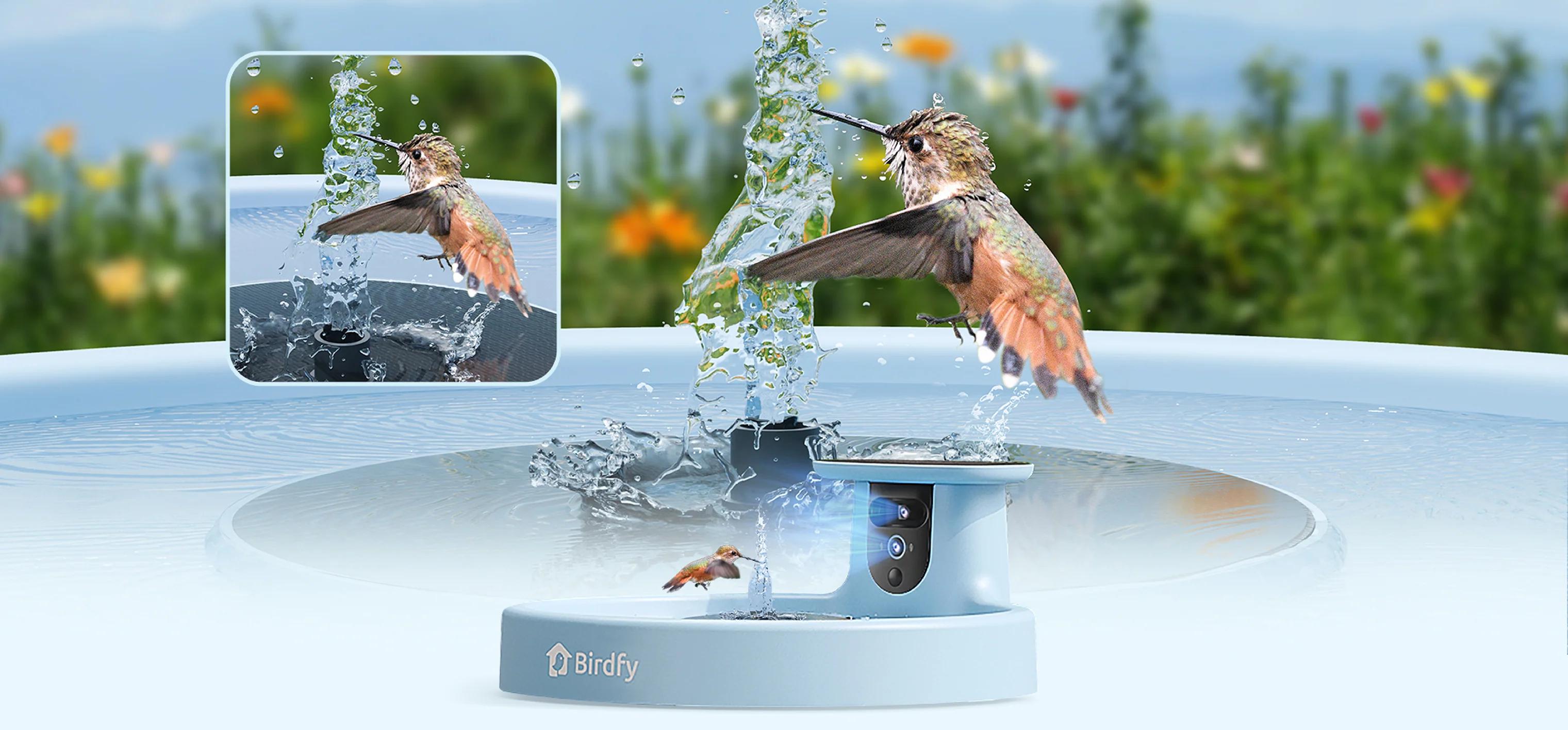Birdfy Smart Bird Bath with Camera Solar Powered & Fountain, Dual-Lens Camera for Wildbird Watching, Auto Capture Bird Videos & Motion Detection, SummerVibes, Petlovers